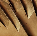 Changing grinder burrs; worn or misaligned burr, new burrs refresh coffee flavor